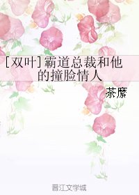 （全职同人）[双叶]霸道总裁和他的撞脸情人