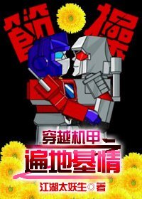 《穿越机甲之遍地基情》