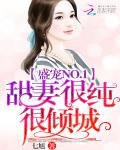 《盛宠NO.1:甜妻很纯很倾城》