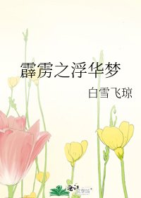 《霹雳之浮华梦》