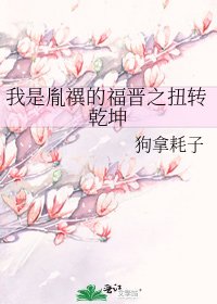 《我是胤禩的福晋之扭转乾坤》