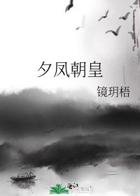 《夕凤朝皇》