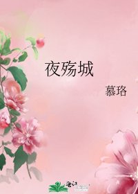 《夜殇城》
