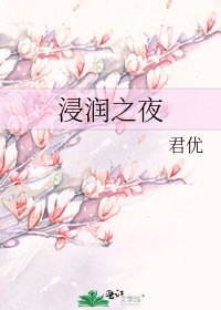 《浸润之夜》