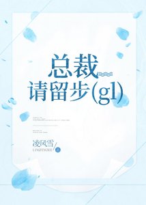 《总裁,请留步!〔gl〕》