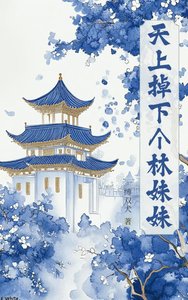 《天上掉下个林妹妹》