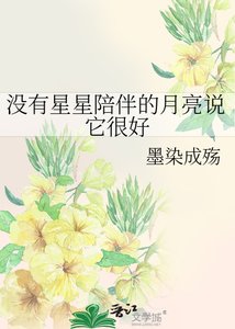 《没有星星陪伴的月亮说它很好》
