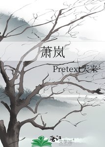 《萧岚》